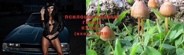 дживик Наволоки