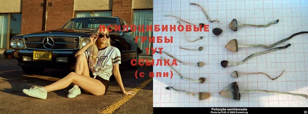 героин Абинск