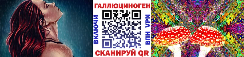 даркнет сайт  Урус-Мартан  ОМГ ОМГ онион  Псилоцибиновые грибы мухоморы 